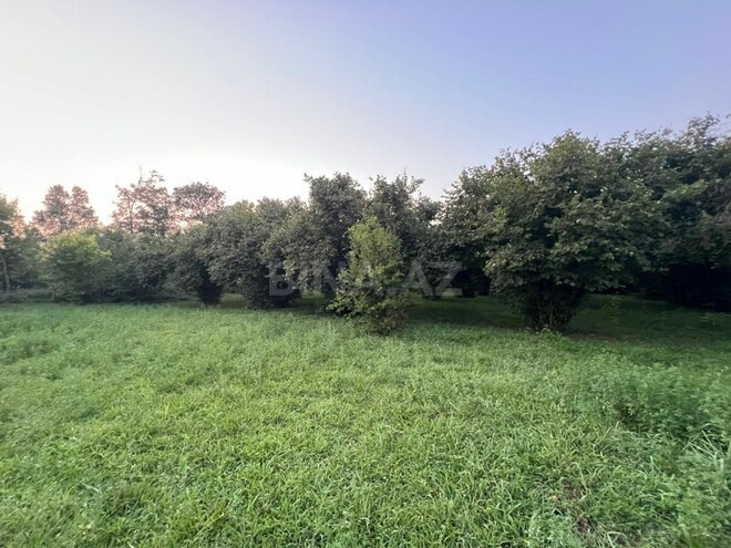 Продаётся 4-комн. дом/дача 63 м², photo 14 from 18