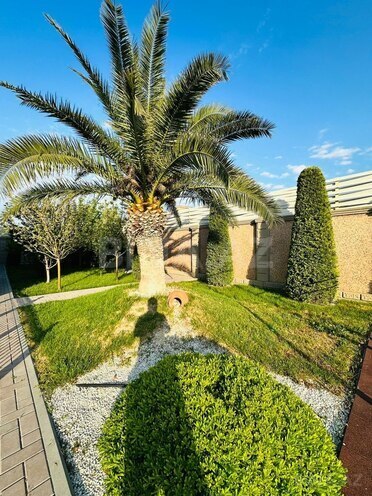 İcarəyə verilir 6 otaqlı həyət evi/bağ evi 400 m², Mərdəkan q., photo 29 from 30