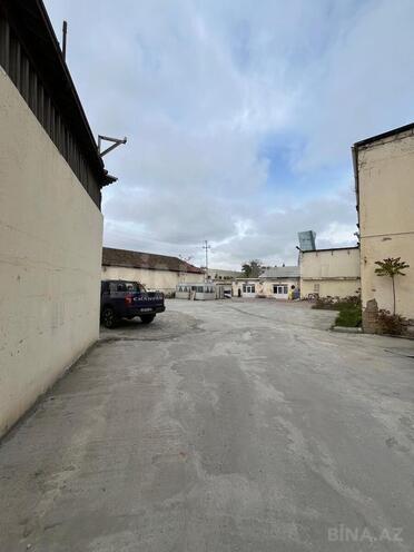Сдаётся  объект 1 900 м², пос. Кешля, photo 22 from 29