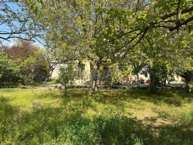 Satılır  torpaq 30 sot, Qara Qarayev m., photo 4 from 13