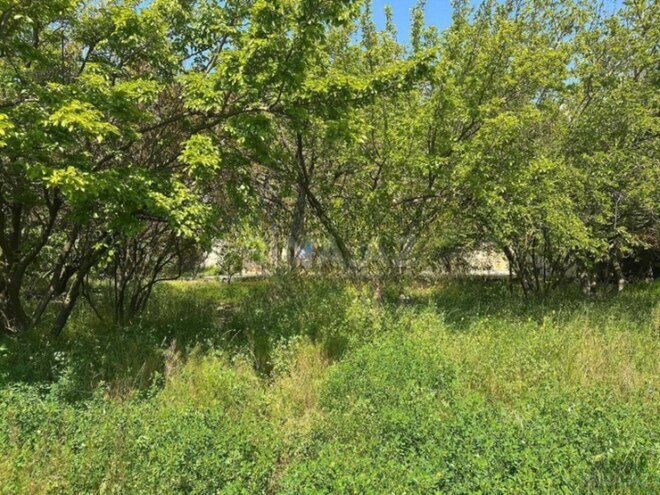 Satılır  torpaq 30 sot, Qara Qarayev m., photo 11 from 13