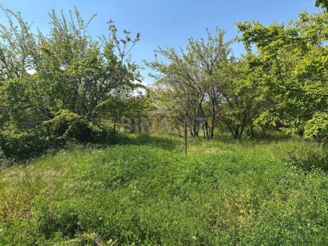 Satılır  torpaq 30 sot, Qara Qarayev m., photo 1 from 13