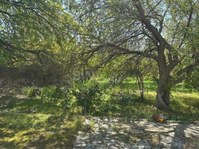 Satılır  torpaq 30 sot, Qara Qarayev m., photo 8 from 13