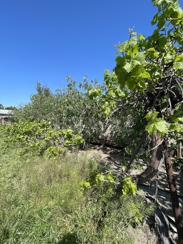 Satılır 6 otaqlı həyət evi/bağ evi 300 m², Novxanı q., photo 17 from 32