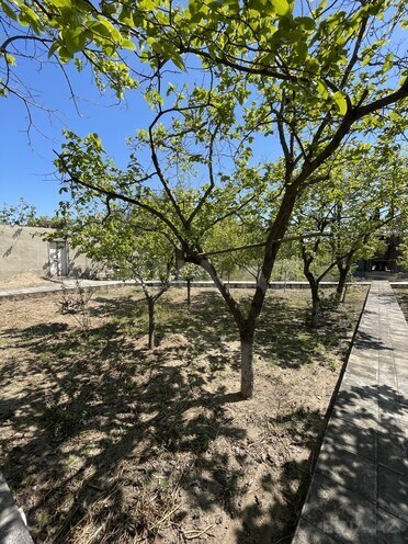 Satılır 6 otaqlı həyət evi/bağ evi 300 m², Novxanı q., photo 6 from 32