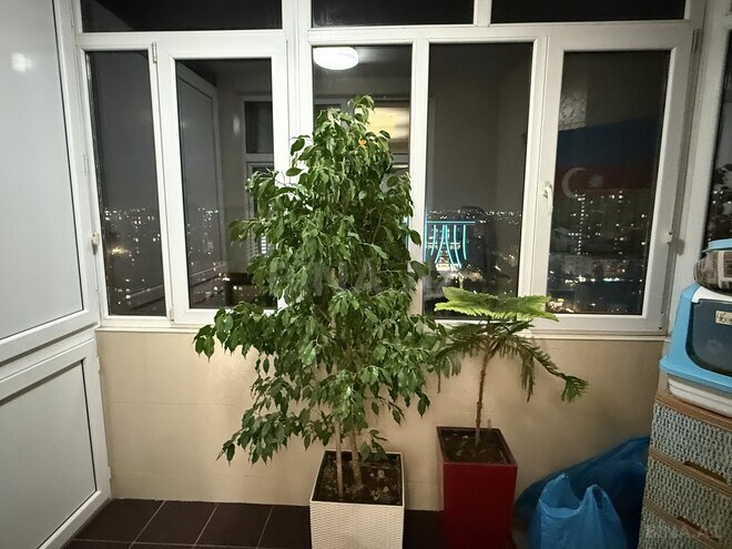 Продаётся 4-комн. новостройка 154 м², м. Кара Караев, photo 16 from 24