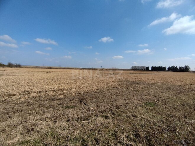 Продаётся  участок 150 сот, photo 1 from 5