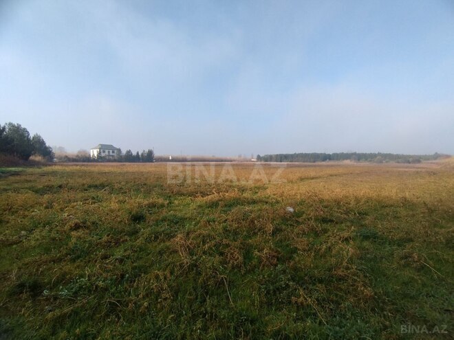 Продаётся  участок 150 сот, photo 3 from 5