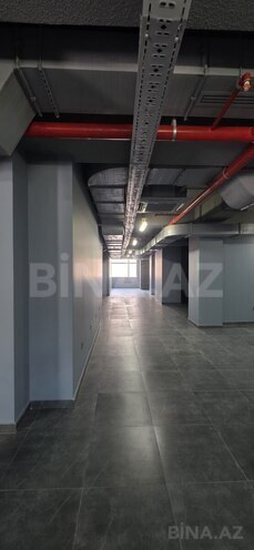 Сдаётся  объект 465 м², м. Низами, photo 6 from 9