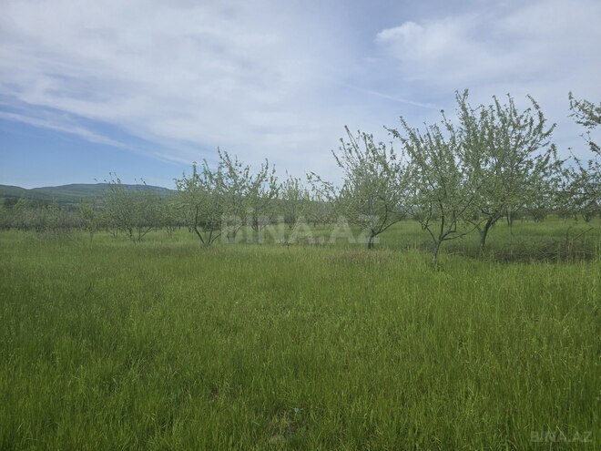 Продаётся  участок 49 сот, photo 7 from 8