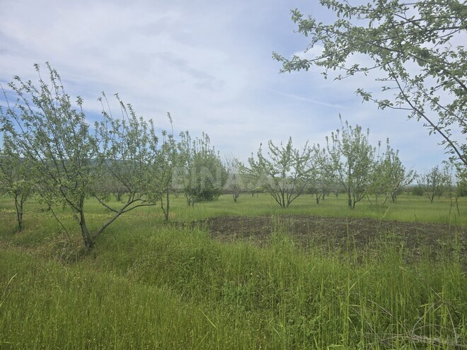Продаётся  участок 49 сот, photo 4 from 8