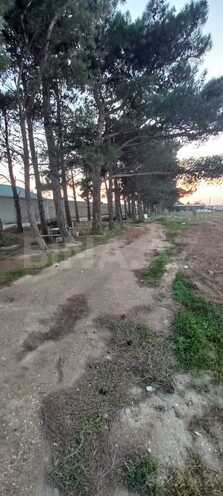 Satılır  torpaq 100 sot, Maştağa q., photo 9 from 12