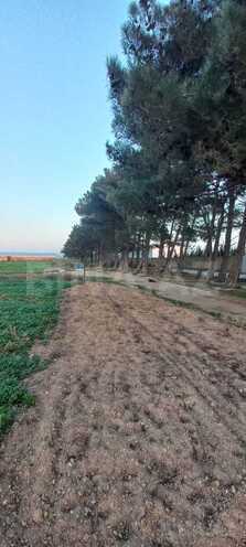 Satılır  torpaq 100 sot, Maştağa q., photo 8 from 12