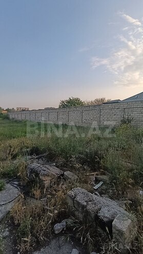 Satılır  torpaq 27.5 sot, Saray q., photo 4 from 18