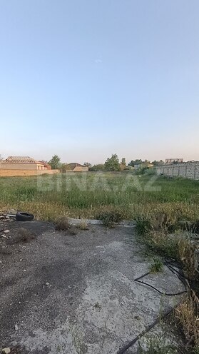 Satılır  torpaq 27.5 sot, Saray q., photo 3 from 18