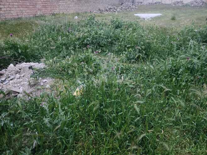 Satılır  torpaq 12 sot, Novxanı q., photo 4 from 8