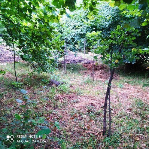 Продаётся  участок 14 сот, photo 4 from 12