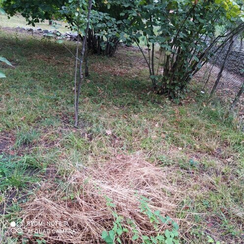 Продаётся  участок 14 сот, photo 6 from 12