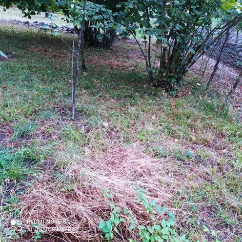 Продаётся  участок 14 сот, photo 10 from 12
