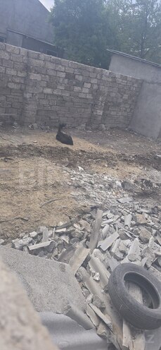 Продаётся  участок 1.8 сот, пос. Ени Сураханы, photo 7 from 8