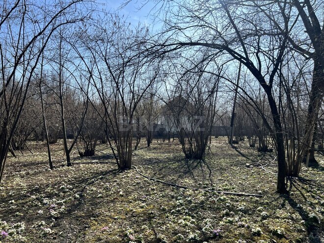Продаётся  участок 10 сот, photo 1 from 3