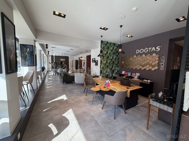 Сдаётся  объект 455 м², м. Низами, photo 7 from 25