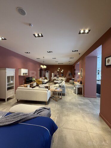 Сдаётся  объект 455 м², м. Низами, photo 11 from 25