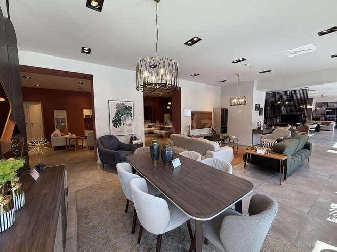 Сдаётся  объект 455 м², м. Низами, photo 8 from 25