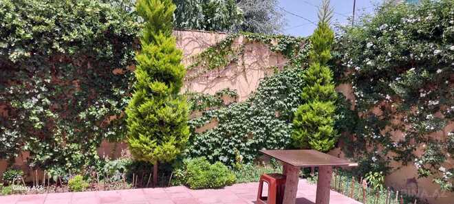 Продаётся 4-комн. дом/дача 150 м², пос. Шувеляны, photo 6 from 21