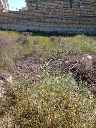 Продаётся  участок 2 сот, пос. Бадамдар, photo 4 from 7