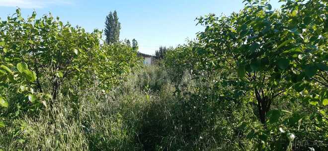 Продаётся 6-комн. дом/дача 200 м², photo 8 from 32
