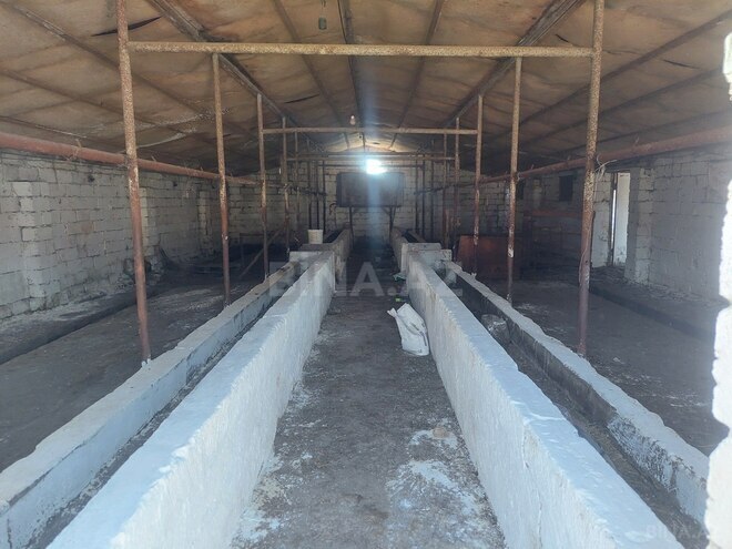 Сдаётся  объект 1 200 м², пос. Мамедли, photo 8 from 9