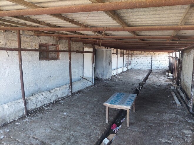 Сдаётся  объект 1 200 м², пос. Мамедли, photo 4 from 9