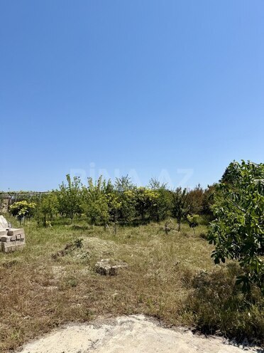 Продаётся  участок 12 сот, пос. Вишнёвка, photo 5 from 11