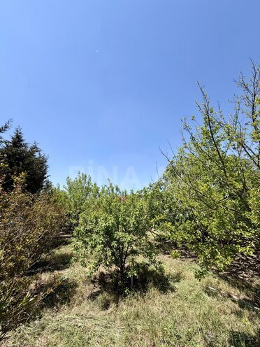 Продаётся  участок 9 сот, пос. Вишнёвка, photo 4 from 12