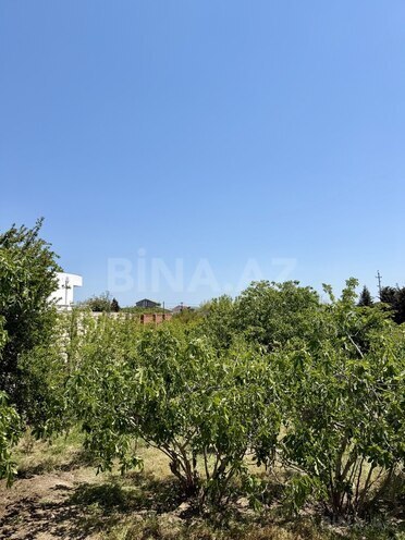 Продаётся  участок 9 сот, пос. Вишнёвка, photo 10 from 12