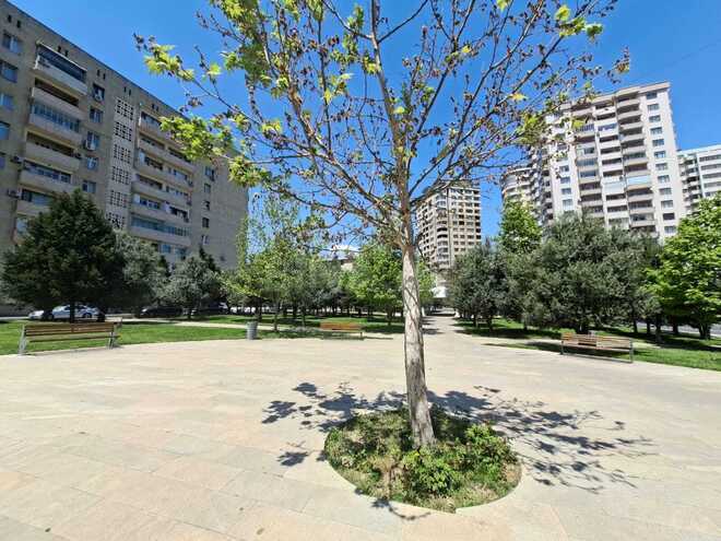 Satılır 1 otaqlı köhnə tikili 35 m², Elmlər Akademiyası m., photo 3 from 17