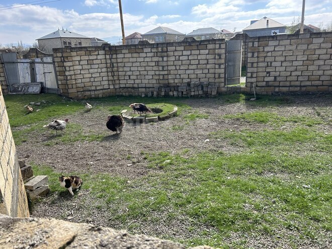 Продаётся  участок 8 сот, photo 8 from 12