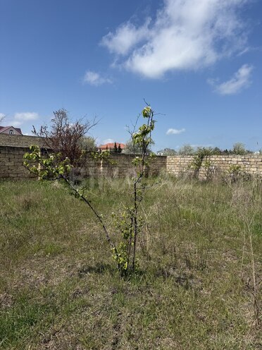 Продаётся  участок 6 сот, пос. Новханы, photo 6 from 10