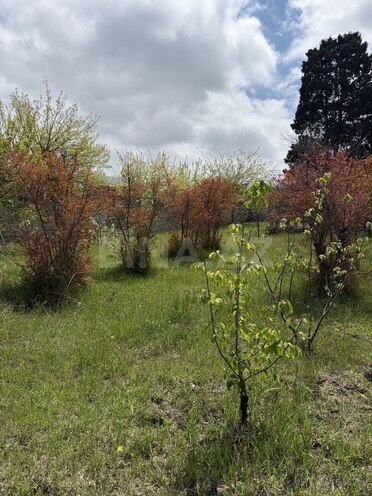 Продаётся  участок 6 сот, пос. Новханы, photo 5 from 10