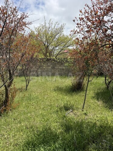 Продаётся  участок 6 сот, пос. Новханы, photo 4 from 10