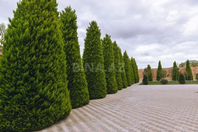 İcarəyə verilir 7 otaqlı həyət evi/bağ evi 360 m², Bilgəh q., photo 8 from 32