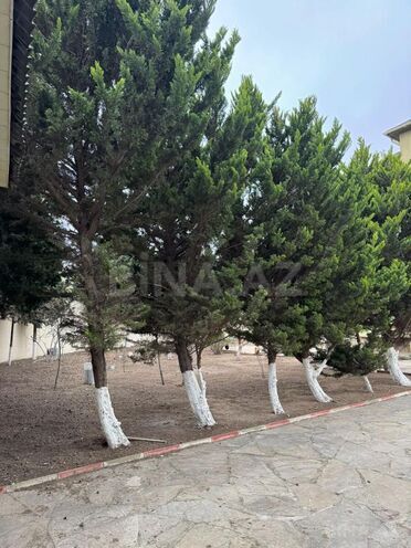İcarəyə verilir 5 otaqlı həyət evi/bağ evi 300 m², Novxanı q., photo 5 from 20