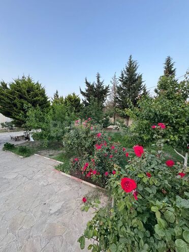 İcarəyə verilir 5 otaqlı həyət evi/bağ evi 300 m², Novxanı q., photo 4 from 20