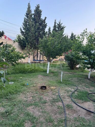 İcarəyə verilir 5 otaqlı həyət evi/bağ evi 300 m², Novxanı q., photo 6 from 20