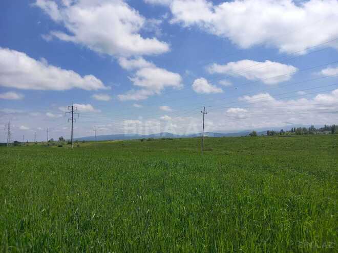 Продаётся  участок 60 сот, photo 5 from 7