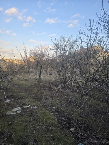Продаётся  участок 16 сот, пос. Савалан, photo 11 from 21
