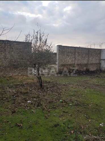Продаётся  участок 9 сот, пос. Бюльбюля, photo 3 from 16