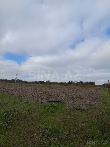 Продаётся  участок 430 сот, photo 5 from 7