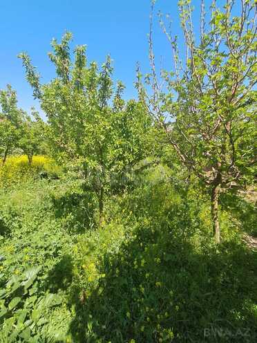 Satılır  torpaq 6 sot, Masazır q., photo 1 from 11